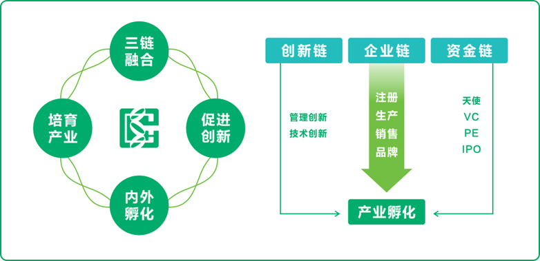 欧博官网式孵化